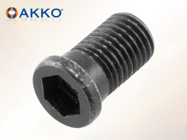 Šuplji vijak AAV-06-M3.5X11